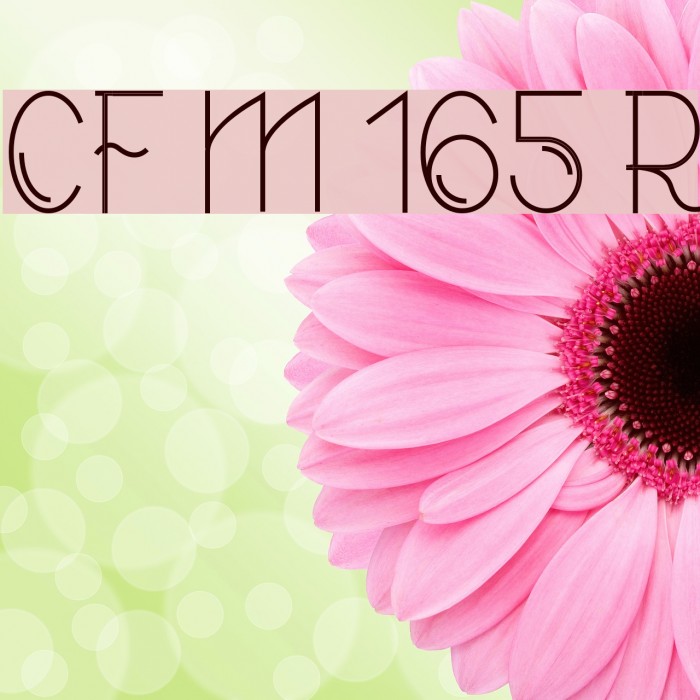 CF Modern 165 Regular Example 1