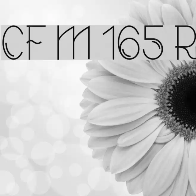 CF Modern 165 Regular Font examples