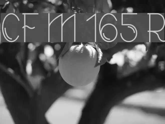 CF Modern 165 Regular Font examples