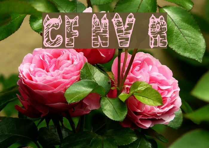 CF NaVia Regular Example 1