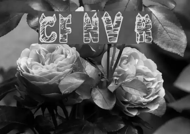 CF NaVia Regular Font examples