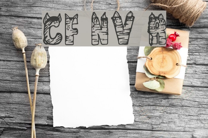 CF NaVia Regular Example 3