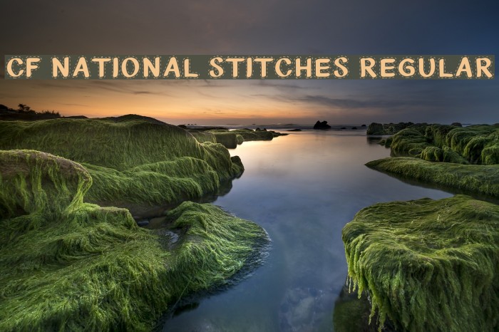 CF National Stitches Regular Font examples