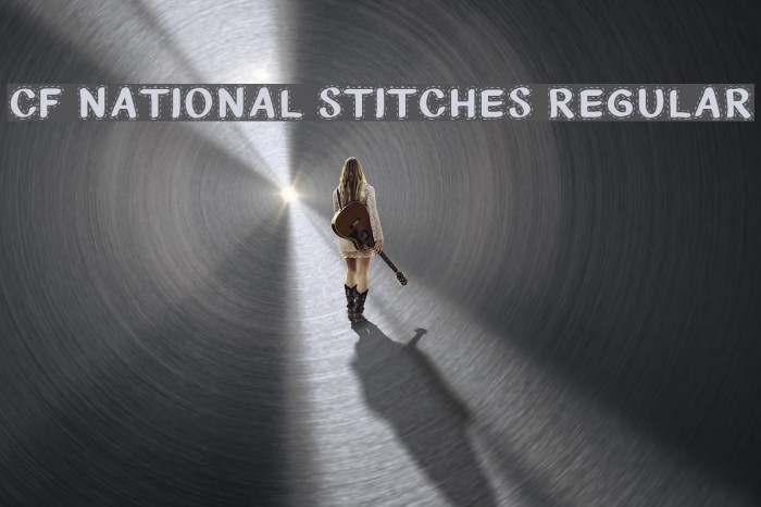 CF National Stitches Regular Font examples