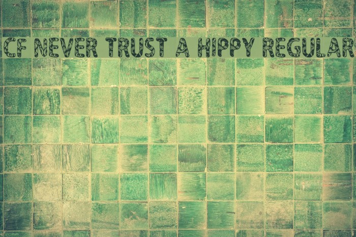 CF Never Trust A Hippy Regular Font examples