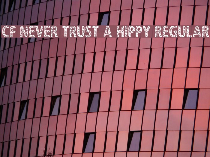 CF Never Trust A Hippy Regular Font examples