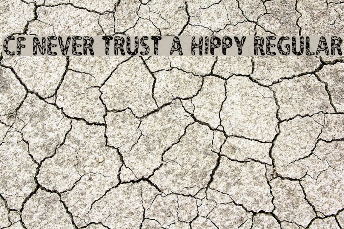 CF Never Trust A Hippy Regular Font examples