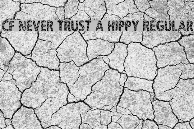 CF Never Trust A Hippy Regular フォント examples