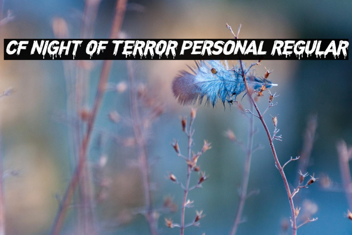 CF Night of Terror PERSONAL Regular Example 3