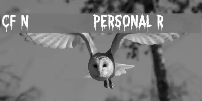 CF Nightmare PERSONAL Regular Font examples