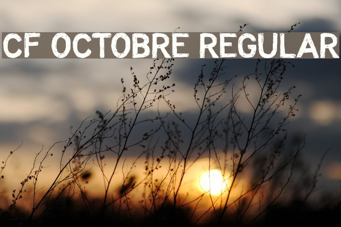 CF Octobre Regular Font examples