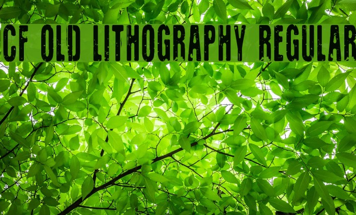 CF Old Lithography Regular Font examples