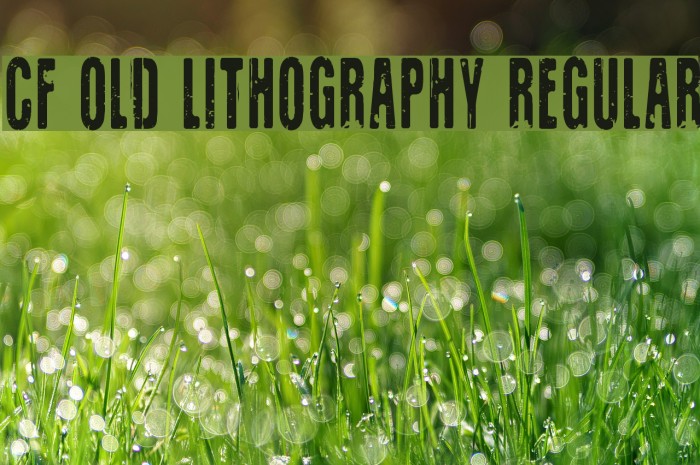 CF Old Lithography Regular Font examples