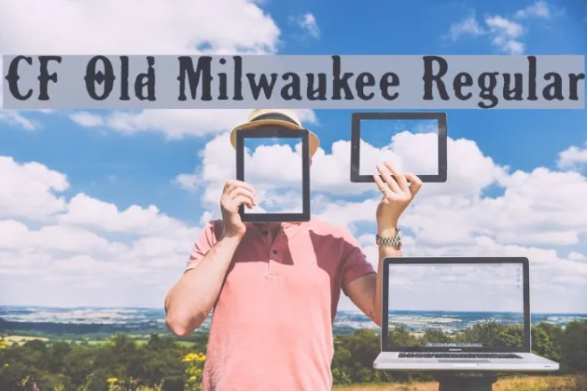 CF Old Milwaukee Regular Example 3