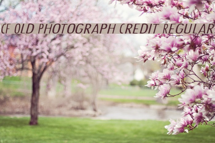 CF Old Photograph Credit Regular Font examples