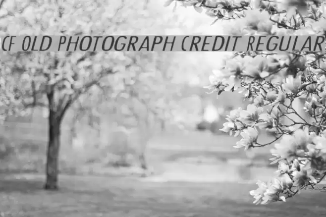 CF Old Photograph Credit Regular Font examples