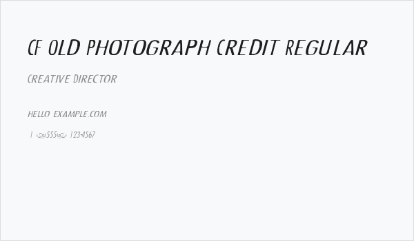 CF Old Photograph Credit Regular Business Card
