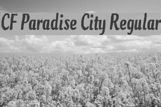 CF Paradise City Regular Font examples