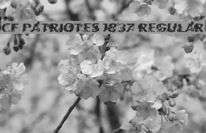 CF Patriotes 1837 Regular 字体 examples