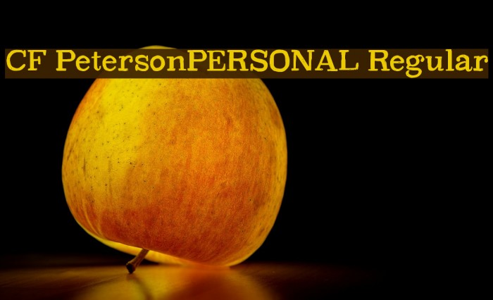 CF PetersonPERSONAL Regular Font examples