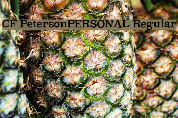 CF PetersonPERSONAL Regular Font examples