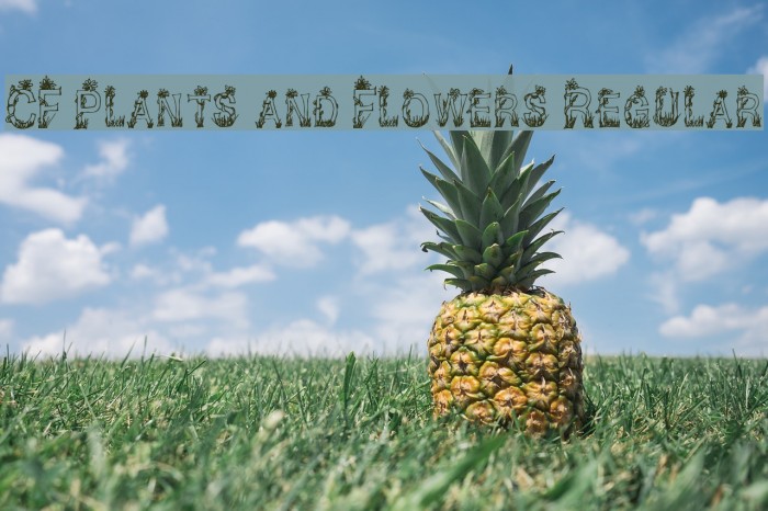 CF Plants and Flowers Regular Font examples