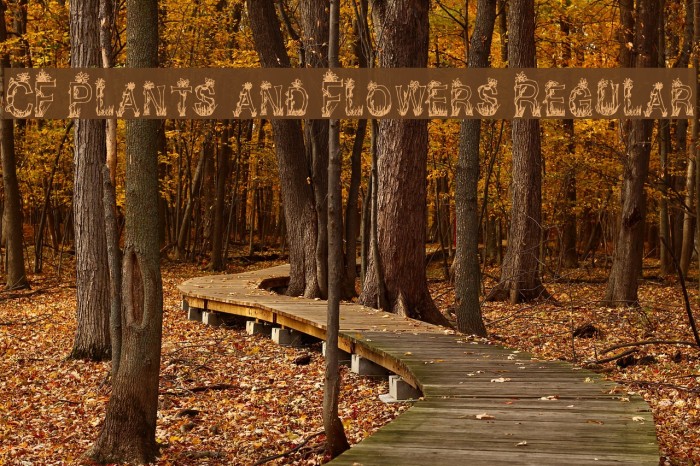 CF Plants and Flowers Regular Font examples