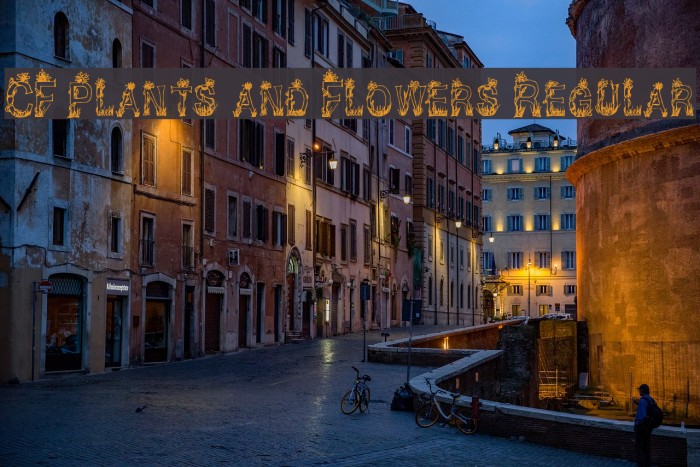 CF Plants and Flowers Regular Font examples