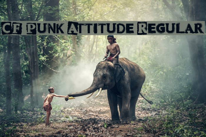 CF Punk Attitude Regular Example 2