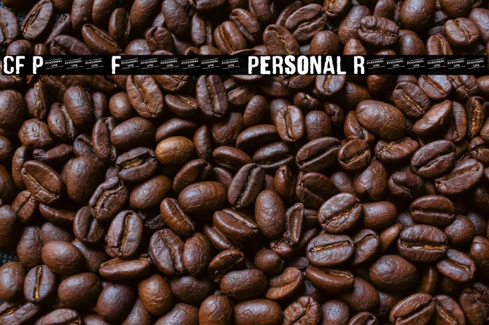 CF Punk Fashion PERSONAL Regular Example 2