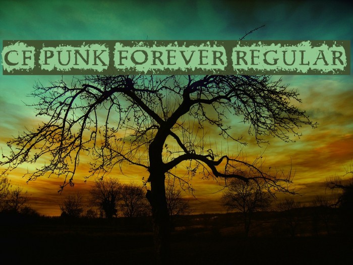 CF Punk Forever Regular Example 1