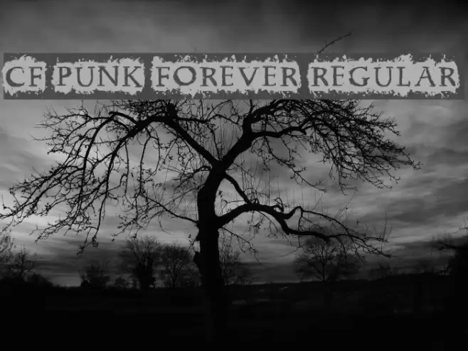 CF Punk Forever Regular Font examples