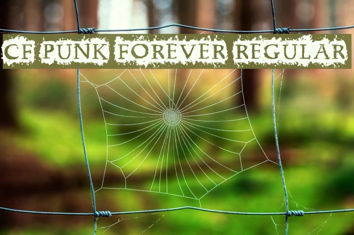 CF Punk Forever Regular Example 2