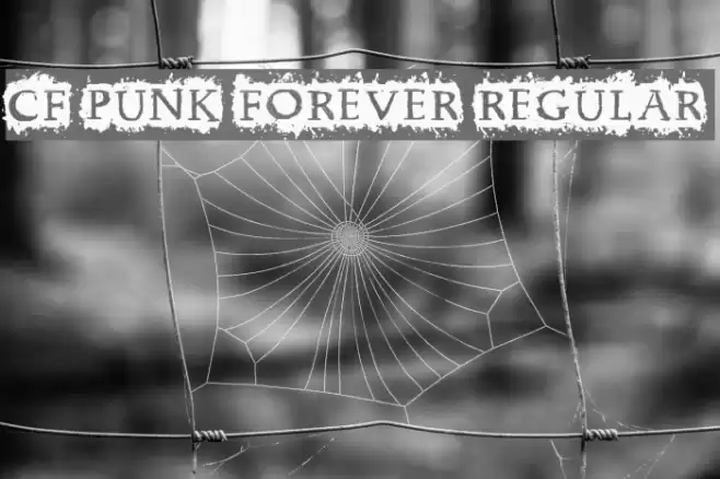 CF Punk Forever Regular Font examples