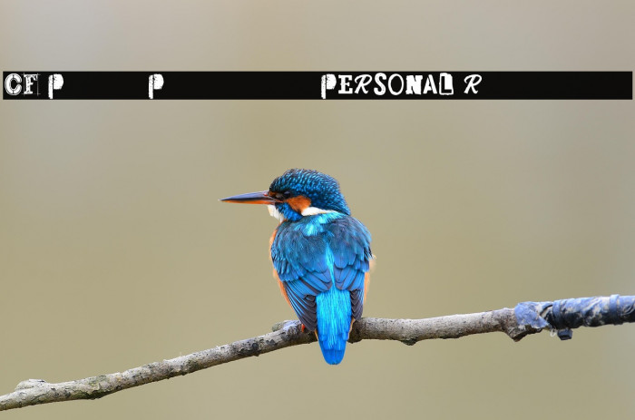 CF Punk Posters PERSONAL Regular Example 1