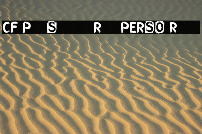 CF Punk Songwriter Rough PERSO Regular Example 2