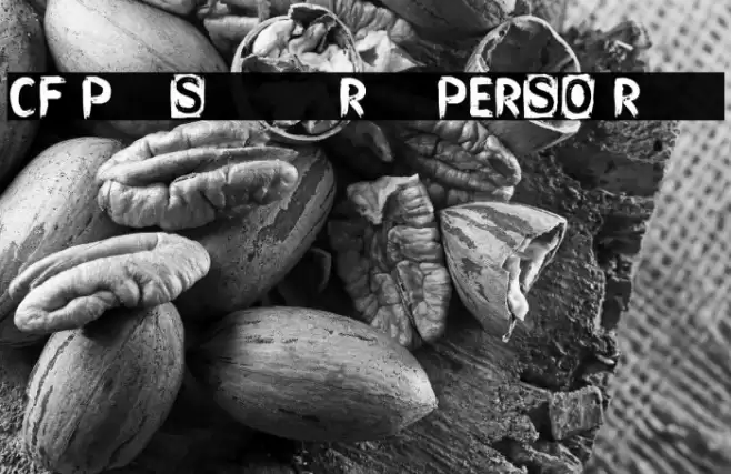 CF Punk Songwriter Rough PERSO Regular Font examples