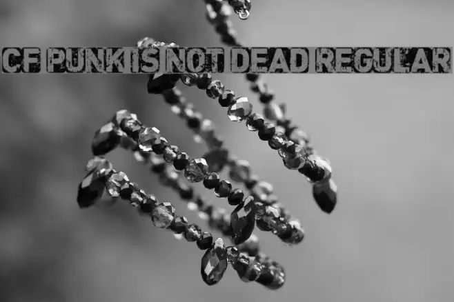 CF Punk is not Dead Regular Font examples
