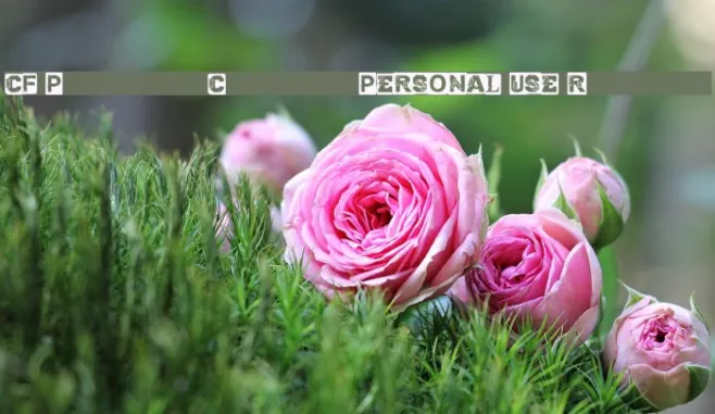 CF Punk vs Cyborg PERSONAL USE Regular Example 2