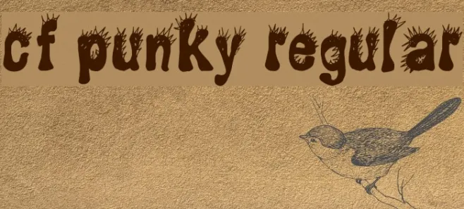 CF Punky Regular Example 1