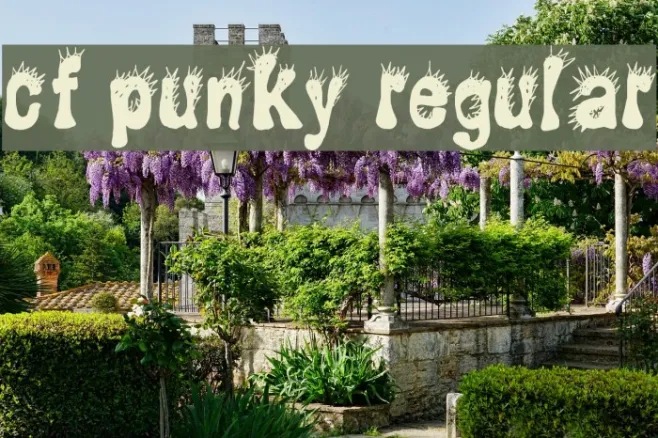 CF Punky Regular Example 2