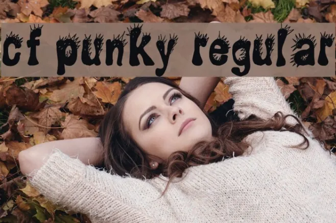 CF Punky Regular Example 3
