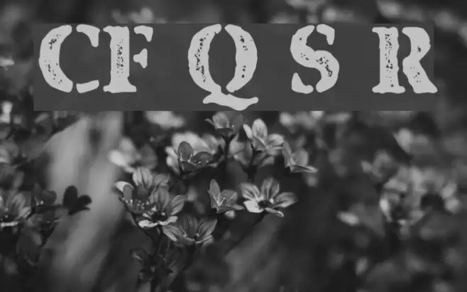 CF Quebec Stamp Regular Font examples