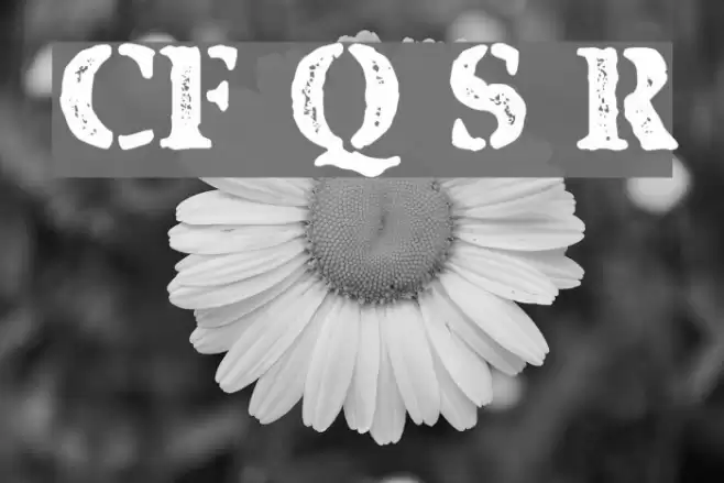 CF Quebec Stamp Regular Font examples