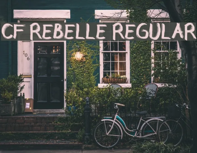CF Rebelle Regular Example 1