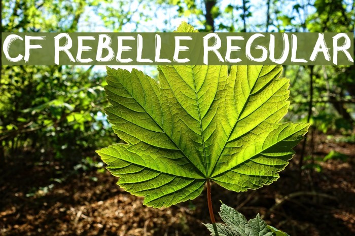 CF Rebelle Regular Font examples