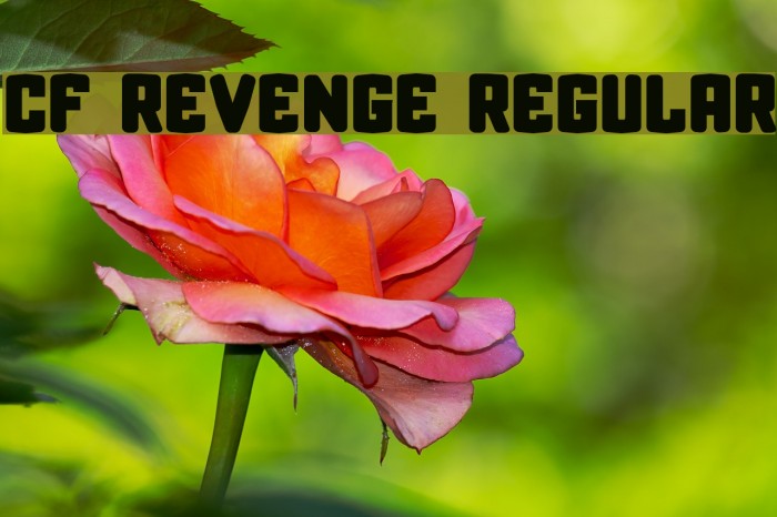 CF Revenge Regular Font examples