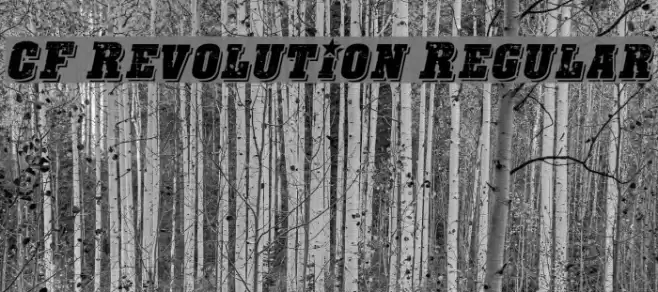 CF Revolution Regular Fonte examples