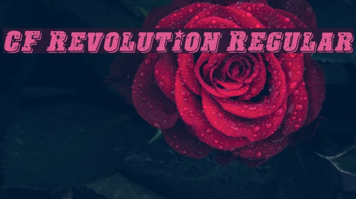 CF Revolution Regular Fonte examples