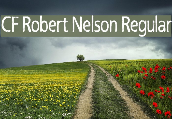 CF Robert Nelson Regular Font examples
